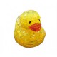 3D Crystal Puzzle - Duck