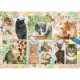 Cat Stamps