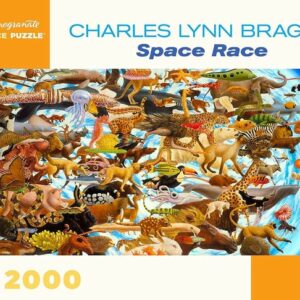 Pomegranate Charles Lynn Bragg Space Race 2000 Piece Jigsaw Puzzle
