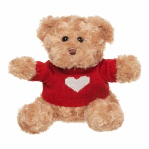 Valentine's Day Teddy Bear with Jumper