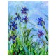 Claude Monet: Irises (Detail)
