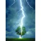 Lightning striking a tree