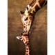 The mother Giraffe and its girafon