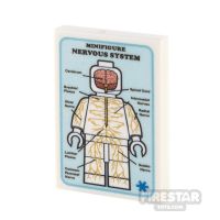 Product shot Custom Printed Tile 2x3 Medical Poster Nervous System