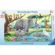Frame Jigsaw Puzzle - Animals of Africa