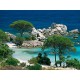 Jigsaw Puzzle - 1000 Pieces - Corsica : Palombaggia Beach