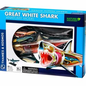 Thames and Kosmos Nature Discovery Great White Shark Anatomy