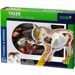 Thames and Kosmos Nature Discovery Tiger Anatomy
