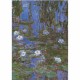 Jigsaw Puzzle - 1000 Pieces - Monet : Water Lilies