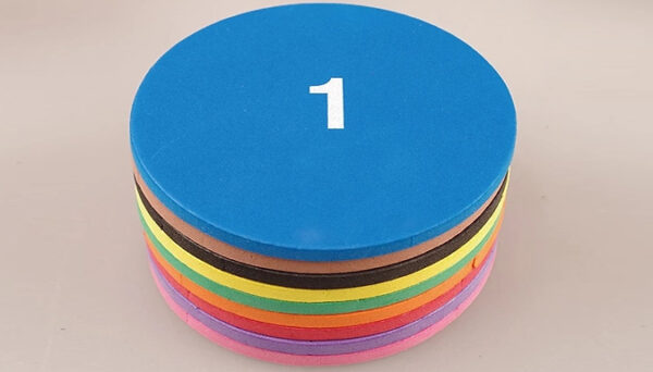 51-Piece Maths Fraction Counting Chips Set - 1