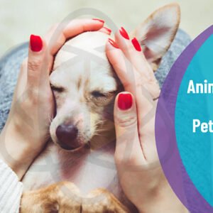Animal Care and Pet Sitting Course