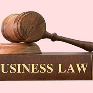 Business Law Online Course