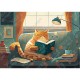 Cat & Books