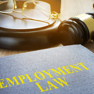 Employment Law For HR Professional Online Course