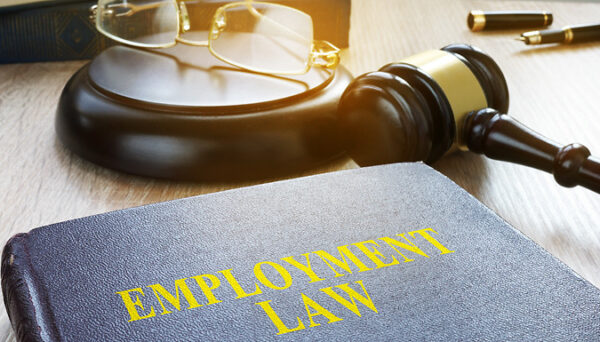 Employment Law For HR Professional Online Course