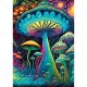Fungi Wonderland