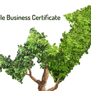 Online Sustainable Business Certificate