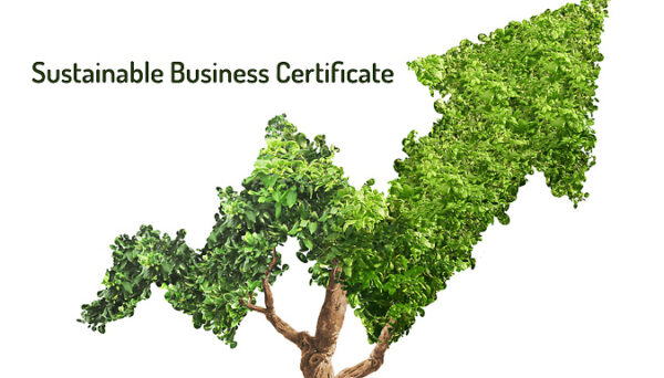Online Sustainable Business Certificate