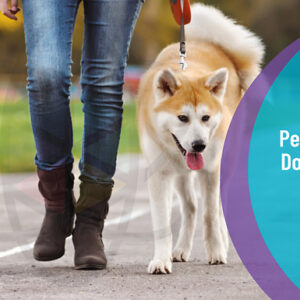 Pet Sitting & Dog Walking Online Diploma