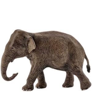 Schleich Asian Elephant - 14753