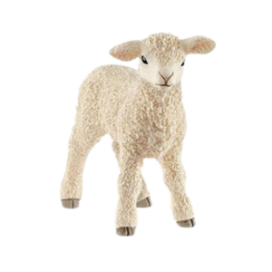 Schleich Sheep - 13883