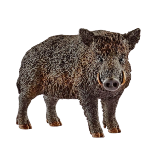 Schleich Wild Life Boar 14783