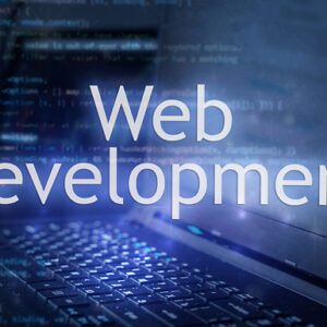 Web Developer Training Online Course