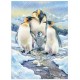 XXL Pieces - Penguin Family (Family)
