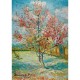 Vincent Van Gogh - Pink Peach Trees (Souvenir de Mauve)