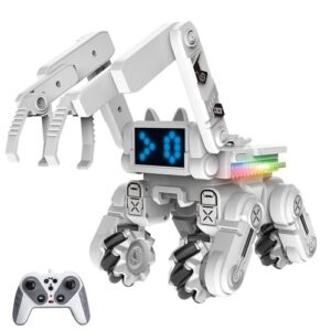 2.4G Remote Control Robot Toy with LED Light LCD Screen and Music
